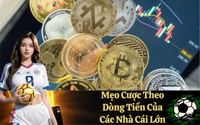Mẹo Cược Theo Dòng Tiền Của Các Nhà Cái Lớn
